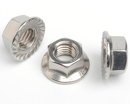 Stainless Steel Serrated Flanged Nuts