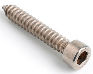 5.5 X 45 SOCKET CAP HEAD SELF TAPPING SCREW A2 ST/ST